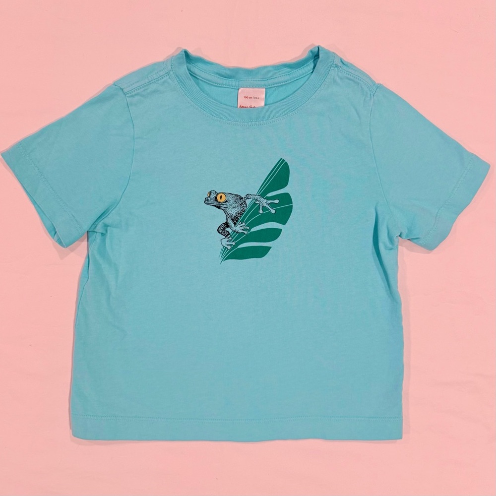 Hanna Andersson Tree Frog Tee Boys 4 100 cm Awesome Art T-Shirt Tidepool Spring